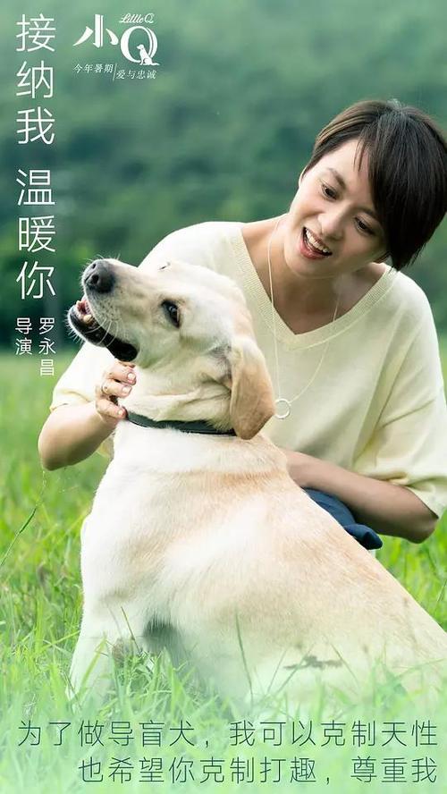 哪里能买到奥地利身份证